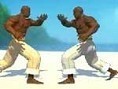 Capoeira-Kämpfer